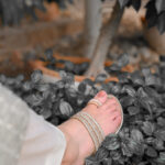 DSC_8490-scaled